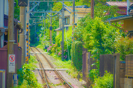 江岛电力铁路线和卡马库拉市景铁路道口电线电铁交通公路市容背景图片