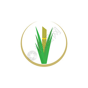 甘蔗农场糖 甘蔗 甘蔗标识矢量植物果汁生态产品收成农业热带叶子农场种植园插画