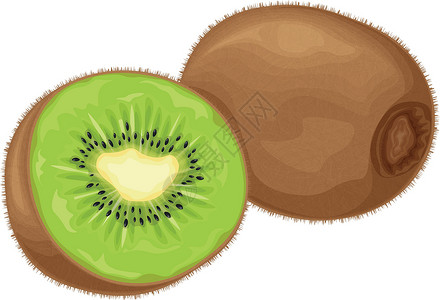 奇异果 成熟的猕猴桃 成熟的猕猴桃的图像 维他命果 有机素食产品 在白色背景上孤立的矢量图情调水果素食主义者营养卡通片甜点种子异背景图片