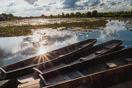 荷花池小船粉荷塘木船旁边水面上的阳光 老木小船和红色莲花在泰国 在水上市场的日落时分 小船漂浮在池塘的表面叶子旅行公园运动季节植物百合荷花背景
