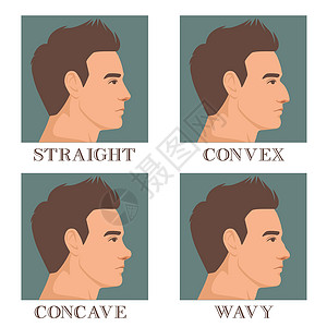 闻男性脸部的外形 有不同种类的鼻锥 直鼻 结骨和卷状 矢量插图设计图片