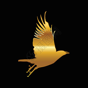 金鹰女神金色乌鸦 乌鸦鸟标志设计图片