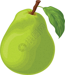 梨 一个成熟的绿色梨的图像 一块切好的梨 花园里的甜水果 素食维生素产品 矢量图饮食农业甜点卡通片树叶主义者营养叶子艺术插图背景图片