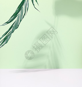 绿棕榈叶 绿色背景有阴影 空舞台桌子叶子化妆品讲台工作室小样空白白色生态植物背景图片