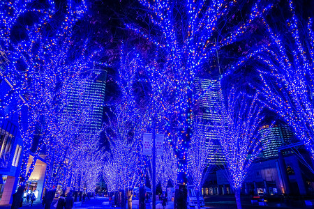 横滨的圣诞节照明背景图片