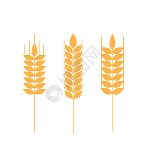 粮食作物收集成熟的麦子 农业符号 面粉生产 小麦矢量环形圆筒等奶奶农场纸托家庭作物生长面包耳朵灰尘牧场插画