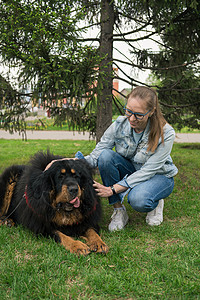 快乐的女子与提贝塔人长袍一起行走公园拥抱成人朋友乐趣犬类闲暇微笑女性快乐背景图片