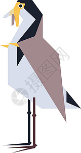 田鹀鸟类一种鸟类物种的多姿多彩的微小例子翅膀义者水禽绘画动物蒙面羽毛插图插画
