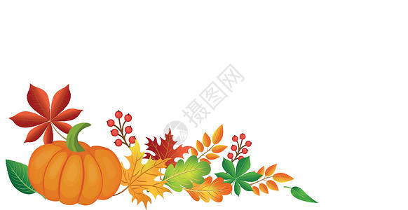现实的秋季秋秋叶 白背景和文字空间  矢量金子广告植物框架边界插图营销感恩折扣横幅背景图片