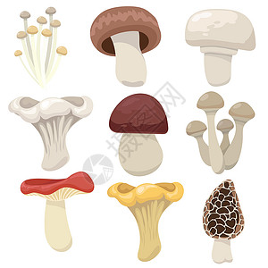 爆炒金针菇平式蘑菇漫画设计图片