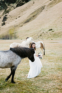 穿着白裙子新娘 在牧场的马匹中间摆立花束白色山脉黑发电影女士绿色婚礼动物农场照片背景图片