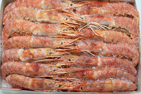 鱼市冰箱里的冷冻虾橙子食物销售营养海鲜饮食美味烹饪零售美食市场高清图片素材