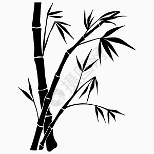 白色背景上隔离的装饰性竹竹枝 矢量插图 Eps 10衬套植物框架叶子艺术墨水边界森林异国绘画背景图片