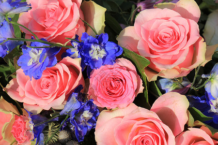 粉红玫瑰和蓝色的拉克斯普 装在花岗花的结婚礼服上装饰品中心新娘装饰捧花鲜花婚礼玫瑰紫色插花背景图片