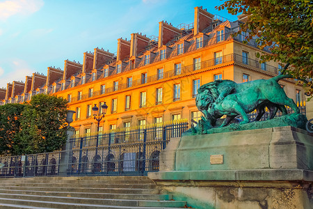 杜乐丽狮子雕像和进入法国巴黎图利里花园的入口背景
