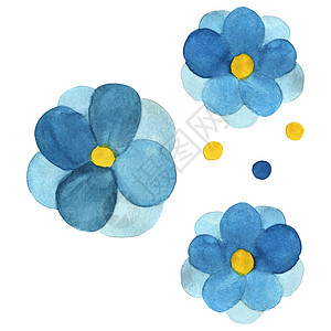 白色背景所孤立的蓝色花朵构成的水色圆形绘画植物学涂鸦热带花瓣植物插图水彩纸本背景图片