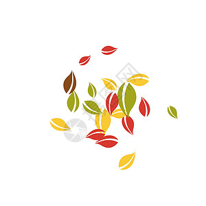 秋天落叶 红 黄 绿 棕C植物群漩涡植物树叶生态生物快乐叶子艺术品学校背景图片