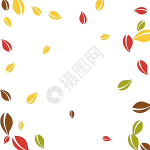 秋天落叶 红 黄 绿 棕C飞行学校树叶生态墙纸风俗纸屑生物植物漩涡背景图片