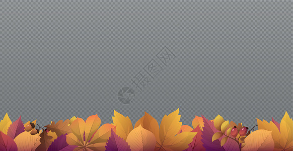 秋红叶和黄叶 网络模板透明背景  矢量框架叶子金子植物墙纸橙子枫叶植物群植物学橡木背景图片