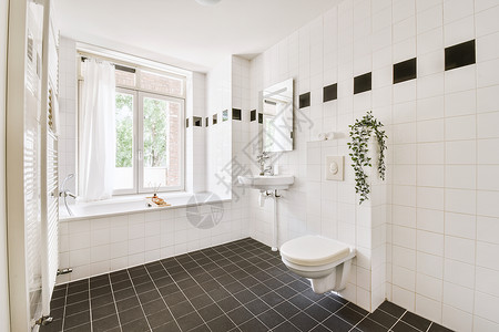 现代公寓内小型洗手间脸盆镜子卫生淋浴龙头住宿房子厕所陶瓷建筑学背景图片