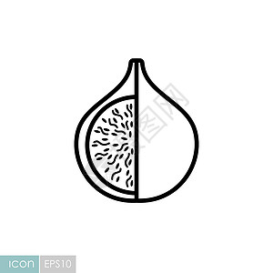 干无花果Fig 热带水果矢量图标饮食种子情调素食主义者异国插图营养甜点紫色食物插画