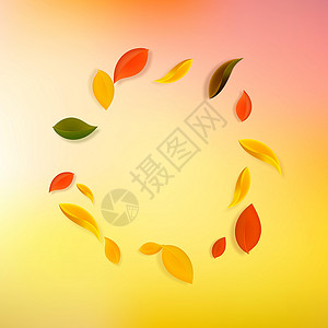 秋天落叶 红 黄 绿 棕C叶子销售学校快乐植物群漩涡生物树叶墙纸植物背景图片