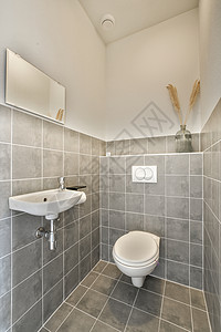 现代洗手间 有厕所和水槽住宅龙头脸盆制品房间内阁房子公寓陶瓷反射背景图片