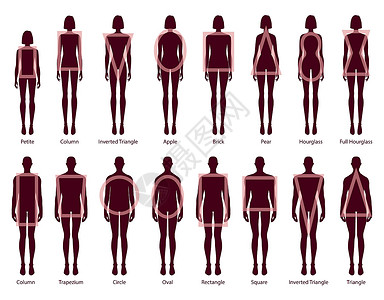 梨型身材一组女性男性身体形状的轮光型 在卡通风格9头大小的绅士们中 男用女性矢量插图设计图片