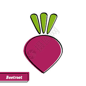 蔬菜扁尖带黑色轮廓的扁甜菜根教育卡插画
