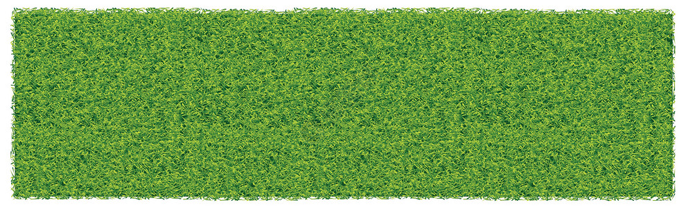 白色背景的绿色多汁绿草季节环境场地草本植物框架生长植物学土地边界插图背景图片