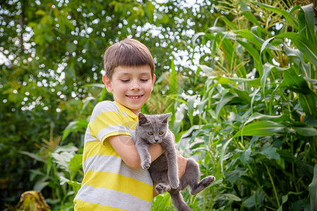 哈咪猫爱意有趣的男孩抱着一只猫充满爱意 手上拿着一只小猫的孩子的画像 在乡村乡村与猫玩耍朋友宠物猫咪婴儿喜悦拥抱虎斑哺乳动物友谊家庭背景