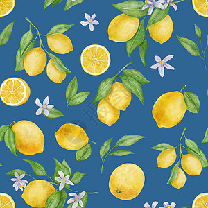 含叶子和花水的柠檬果 蓝底彩色无缝图案背景图片