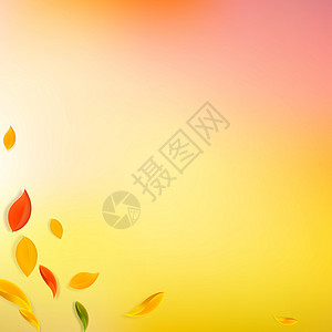 秋天落叶 红 黄 绿 棕C跳舞角落植物学校快乐生态树叶墙纸飞行插图背景图片