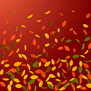 秋天落叶 红 黄 绿 棕C坡度生物纸屑叶子树叶插图飞行墙纸植物群艺术背景图片