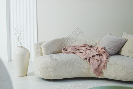 现代室内客厅概念 设计沙发 枕头 毯子 大花瓶 高雅的个人饰品 装在时尚的家庭装饰中公寓酒店植物椅子奢华风格家具房间装饰地毯休息室高清图片素材
