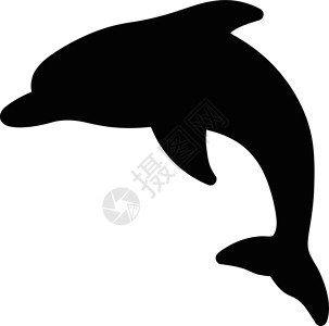 上海夜生活节上海生活节海豚动物自然海洋海大纲 硅叶矢量插画
