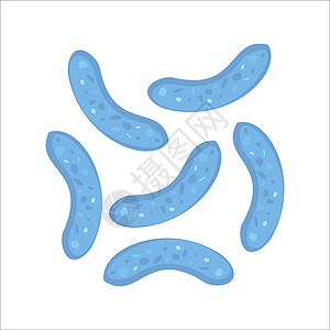元上都遗址双歧杆菌 双歧杆菌的象征 可用于酸奶网页横幅 医学 微生物学 发酵概念 在平面卡通风格的白色背景上孤立的股票矢量插图插画