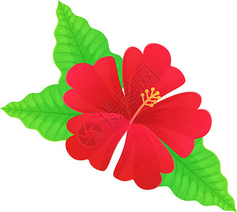 红色情调充满活力的红色hibiscus花朵 夏威夷热带开花插画