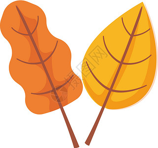 秋叶对象剪辑 Birch和橡树图标橡木插图橙子黄色桦木植物叶子卡通片森林背景图片