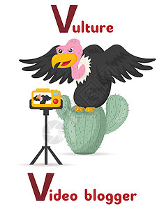 海蜇拉丁字母ABC动物职业 从信件诉秃鹫视频博客卡通风格开始 (笑声)设计图片