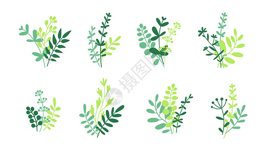 绿色植物枝条草药 树枝和树叶束在白色上隔离 一束绿色草药矢量平面插图隔离在白色插画