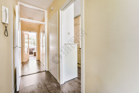 现代公寓的门外 有白色墙壁和面板地板门厅住房房间房子几何学窗户地面压板木地板建筑大厅高清图片素材
