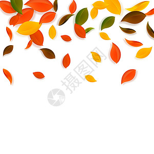 秋天落叶 红 黄 绿 棕C学校快乐坡度日落生态植物群生物飞行树叶叶子背景图片