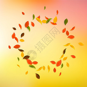 秋天落叶 红 黄 绿 棕C销售漩涡快乐墙纸学校植物群植物叶子飞行插图背景图片