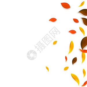 秋天落叶 红 黄 绿 棕C植物群叶子纸屑坡度墙纸生物快乐销售生态漩涡背景图片