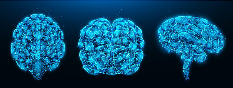 深蓝色背景下人脑的多边形矢量图解 从不同角度低聚设计的健康人脑 神经系统医学横幅 模板或背景背景图片
