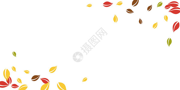 秋天落叶 红 黄 绿 棕C生物角落漩涡销售植物生态飞行树叶快乐叶子背景图片