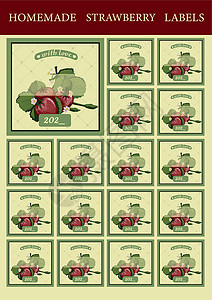 自制果酱标签 草莓果酱包装 矢量草莓甜点浆果食物插图水果贴纸收藏背景图片