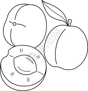 手绘桃子雪糕用于孩子的杏果单独彩色页面设计图片