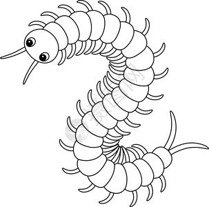 节肢儿童专用百分位动物孤立颜色页面插画